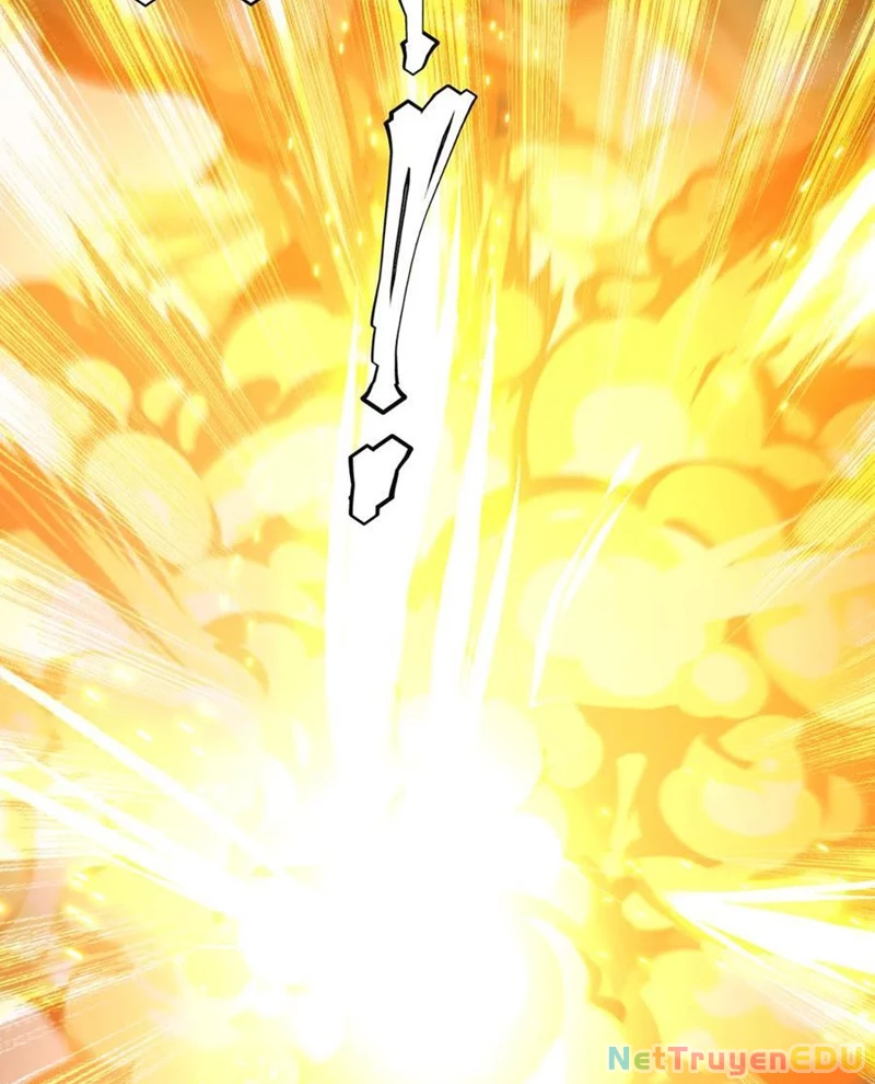 Chapter 217
