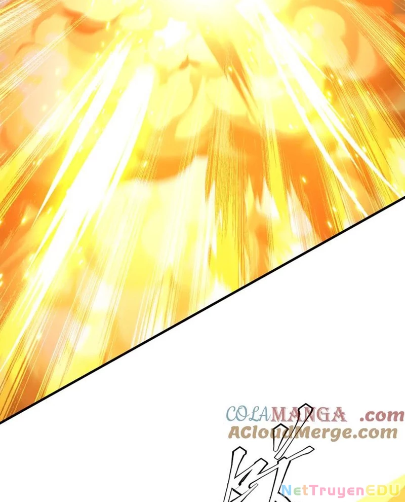 Chapter 217