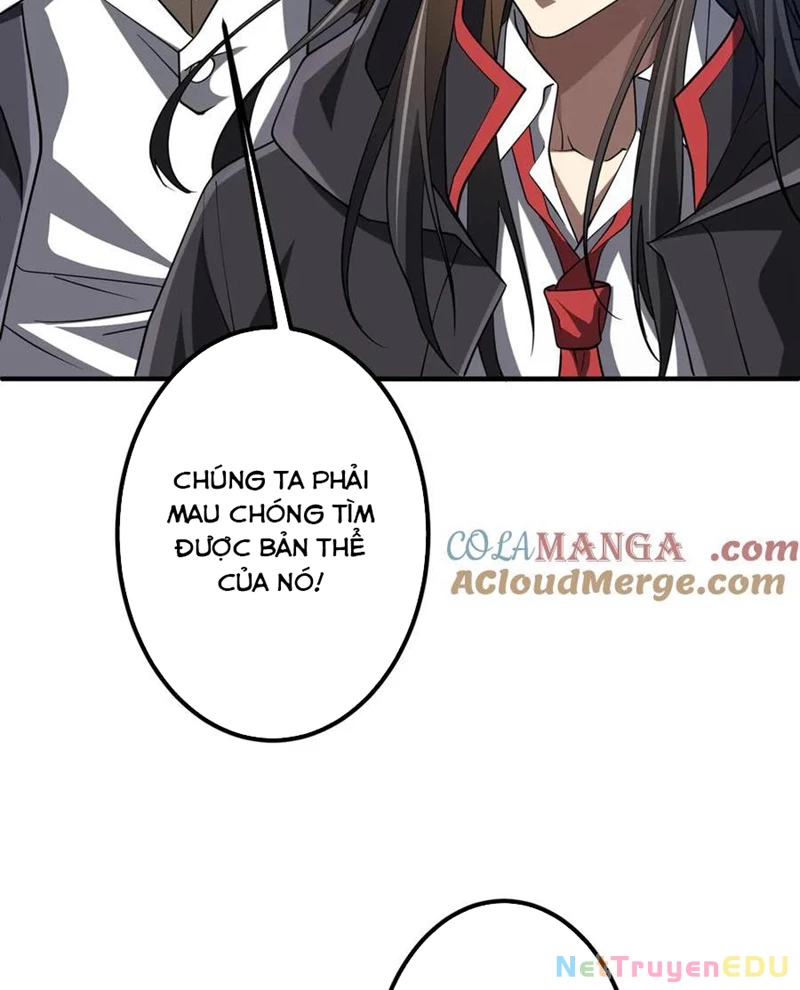 Chapter 217