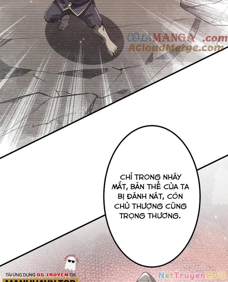 Chapter 217