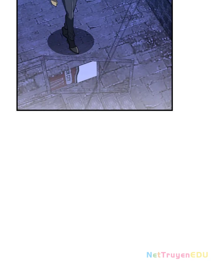 Chapter 217