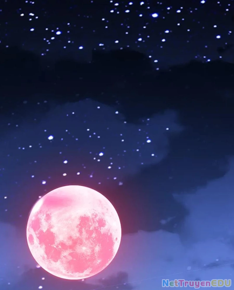 Chapter 217
