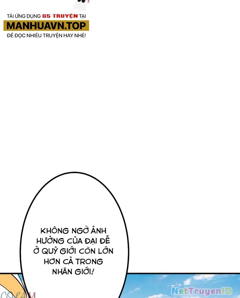 Chapter 221