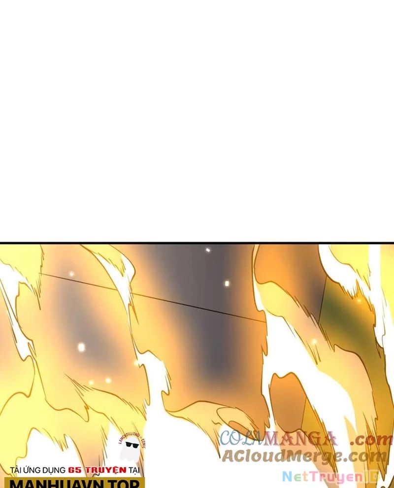 Chapter 221