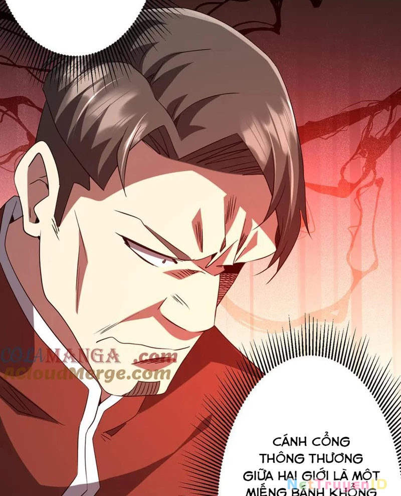 Chapter 222