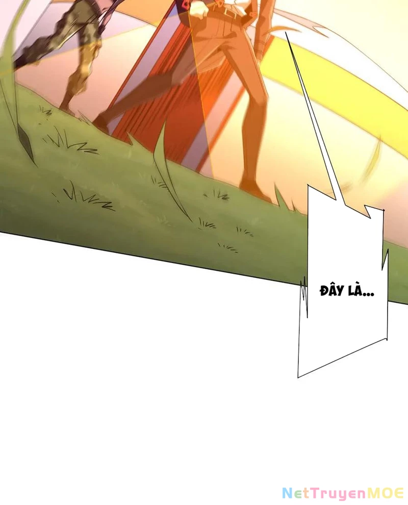 Chapter 223