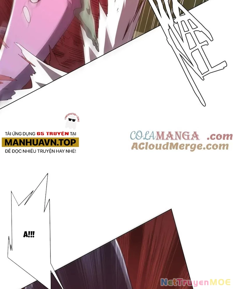 Chapter 223