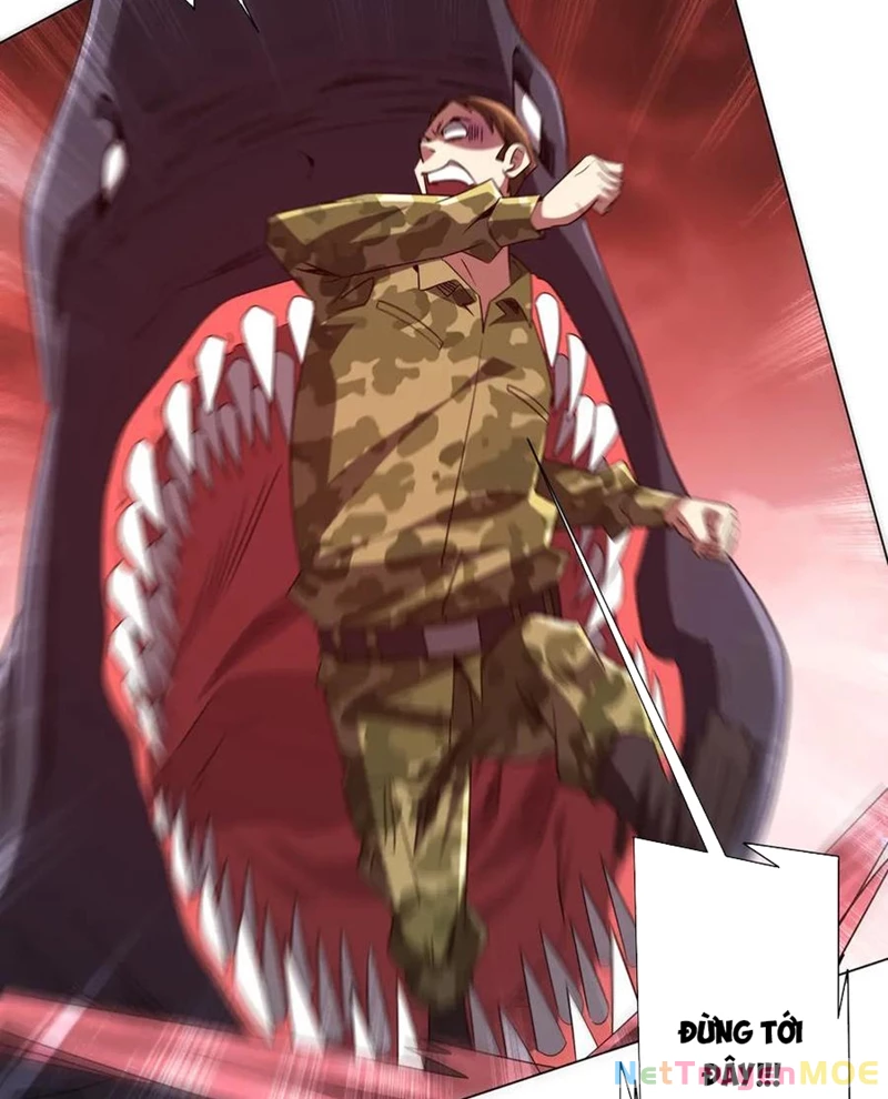 Chapter 223