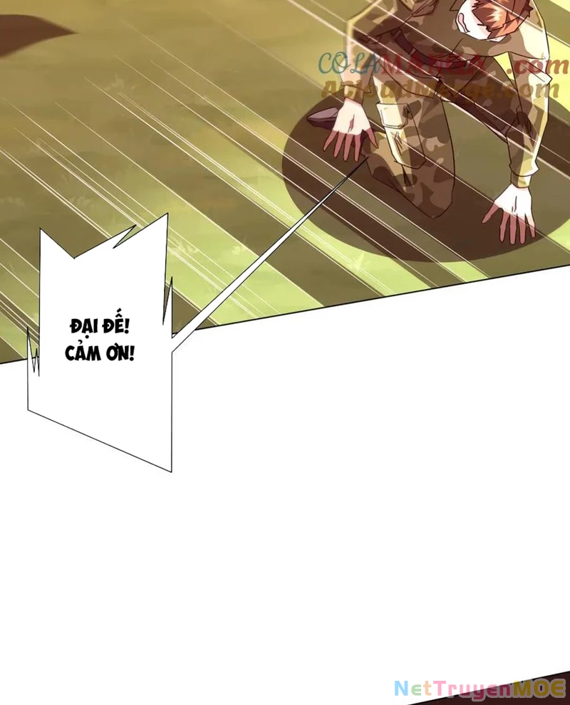 Chapter 223