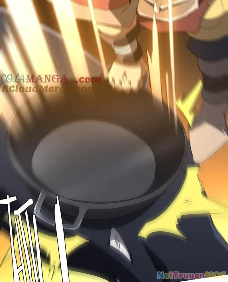 Chapter 223