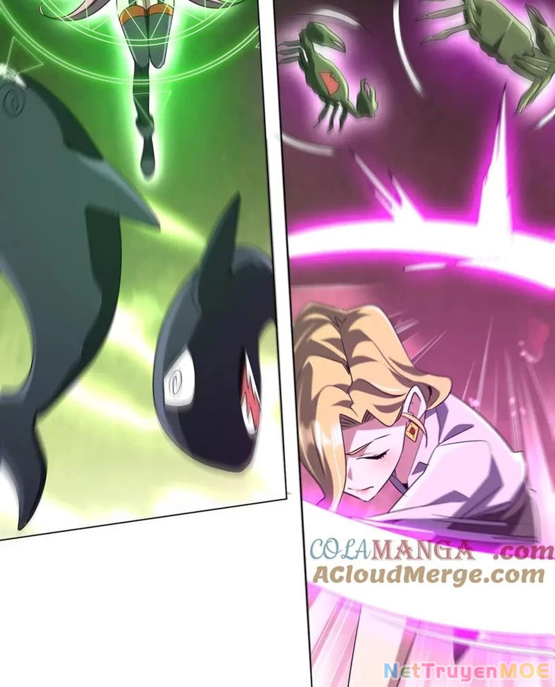 Chapter 223