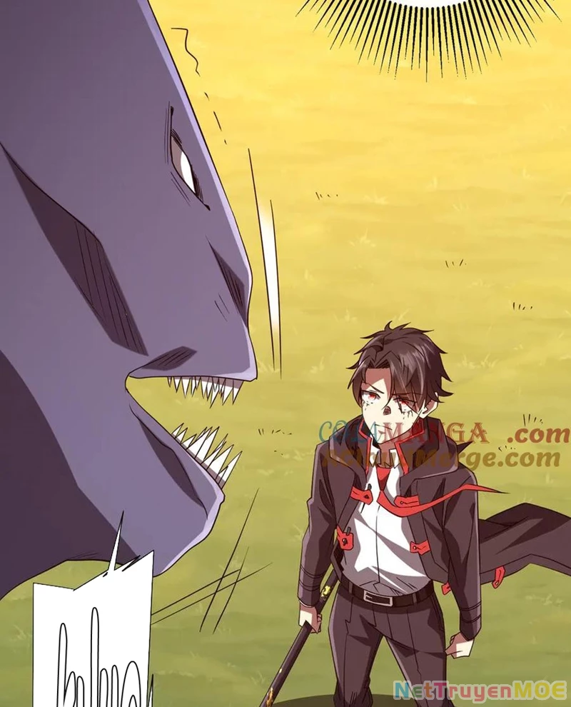 Chapter 223