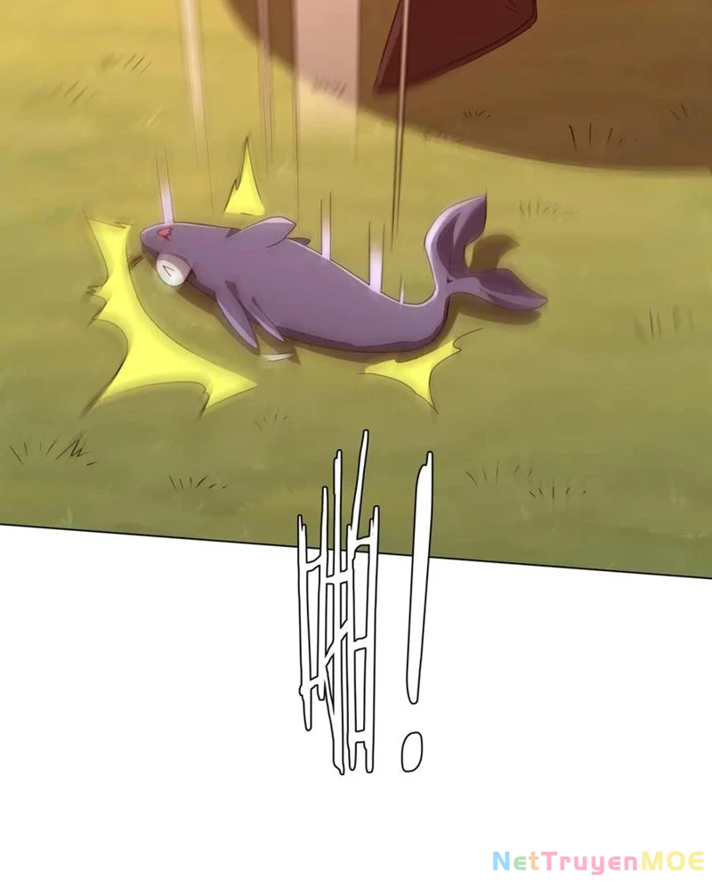 Chapter 223