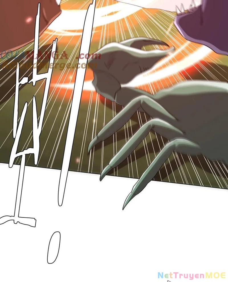 Chapter 223