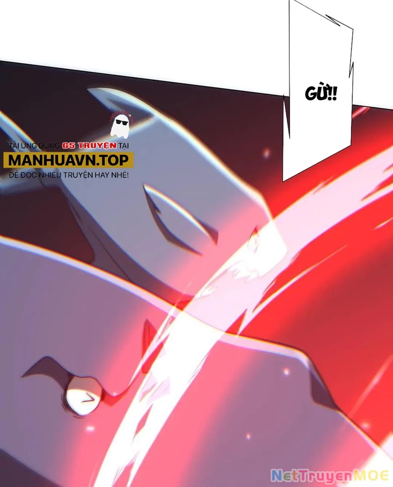 Chapter 223