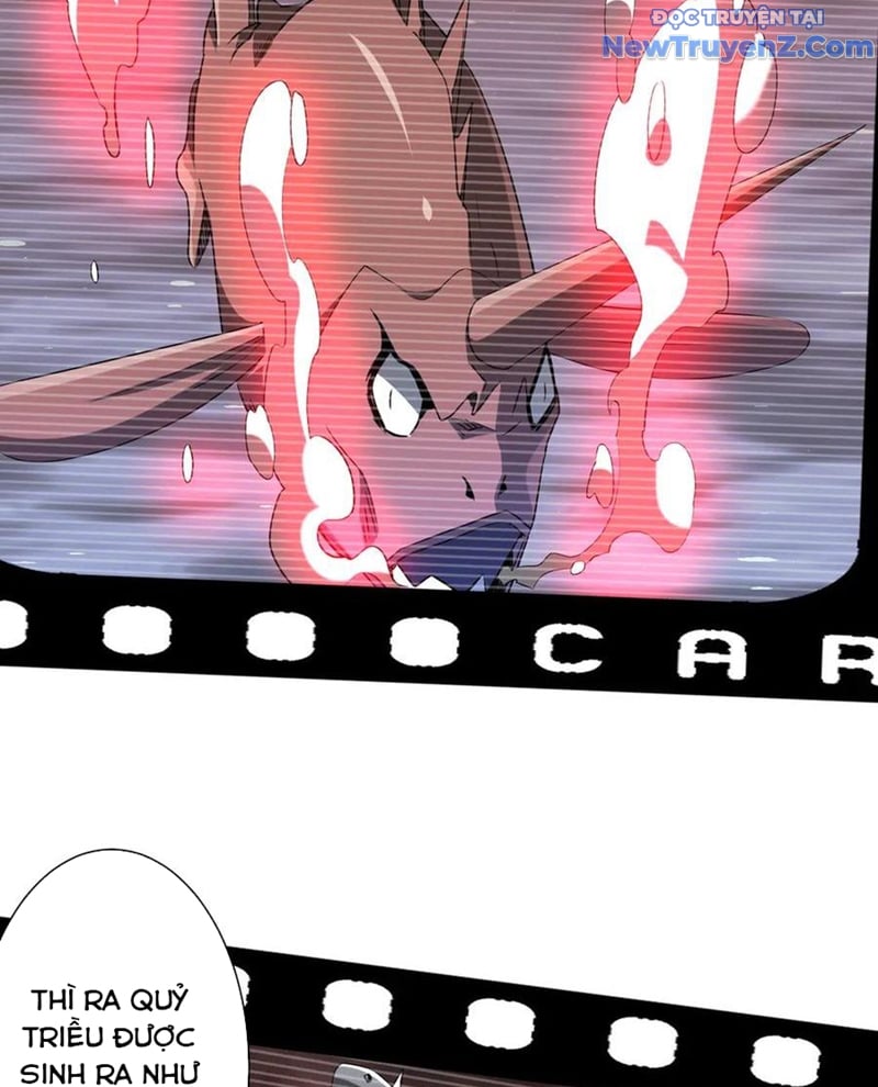 Chapter 228
