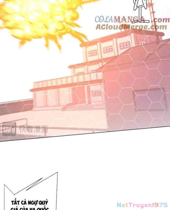 Chapter 231