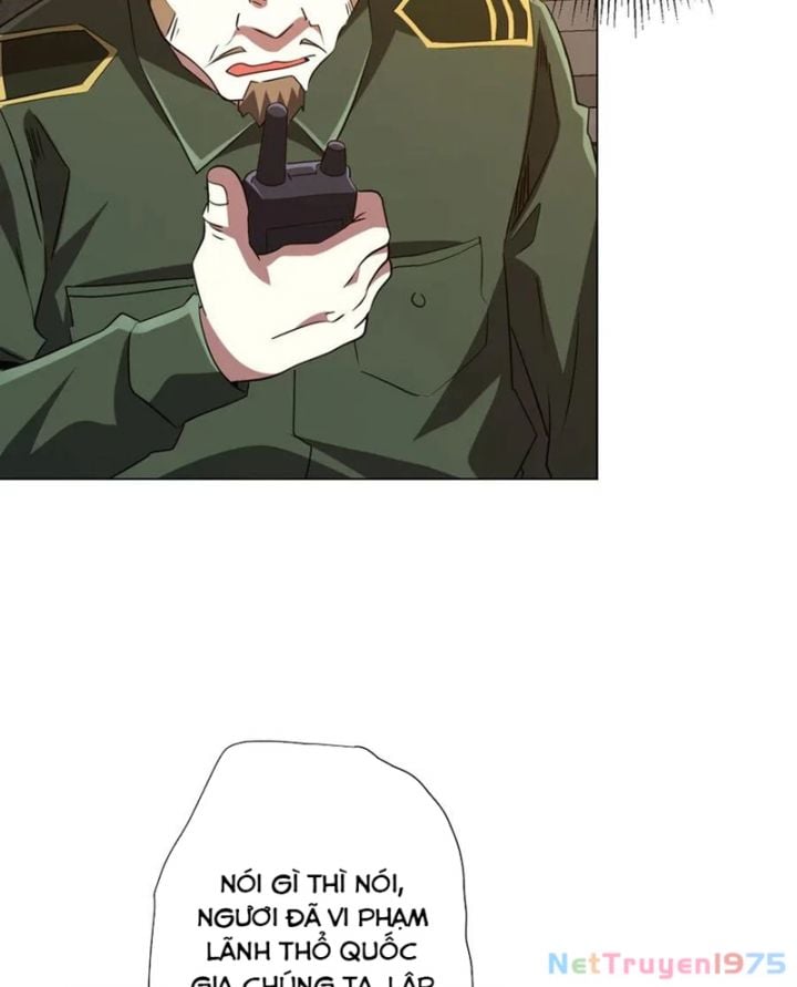 Chapter 231