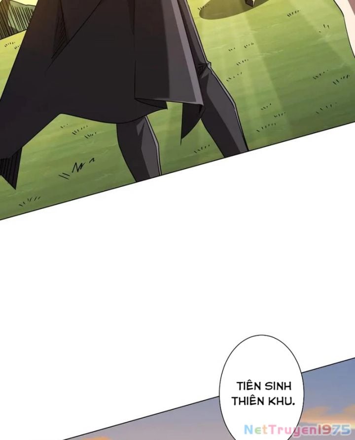 Chapter 238