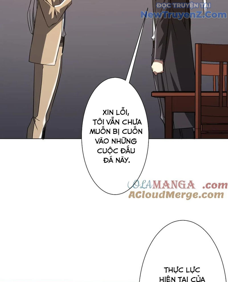 Chapter 239