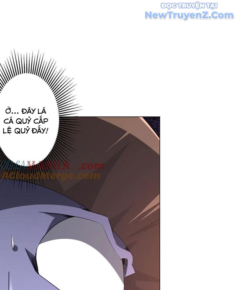 Chapter 239