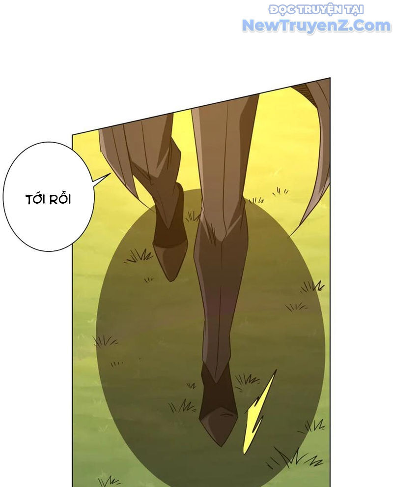 Chapter 239