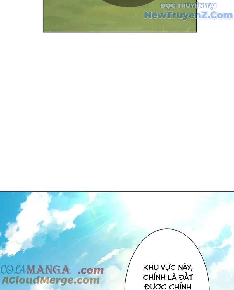 Chapter 239