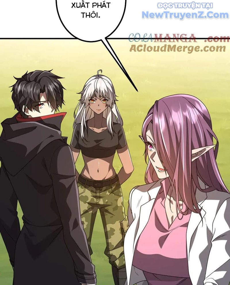 Chapter 241