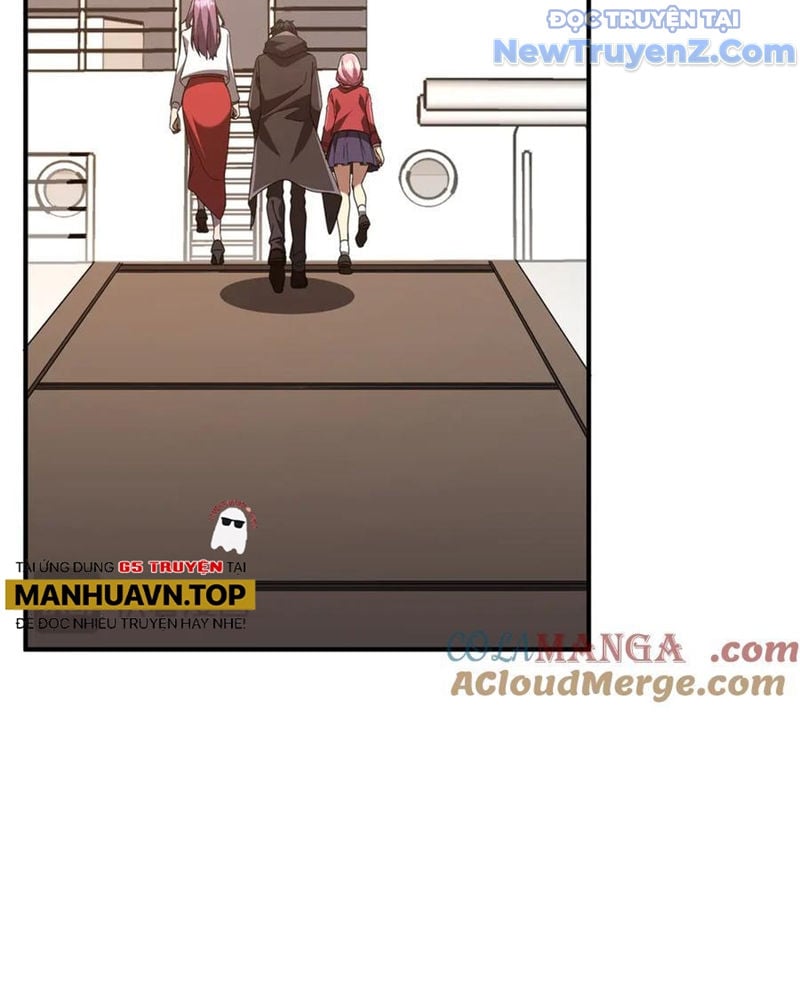 Chapter 241