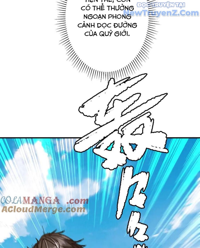 Chapter 241