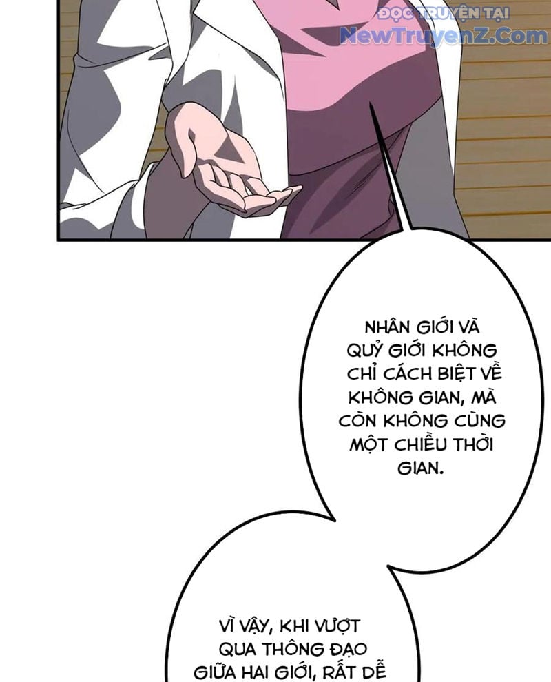 Chapter 241