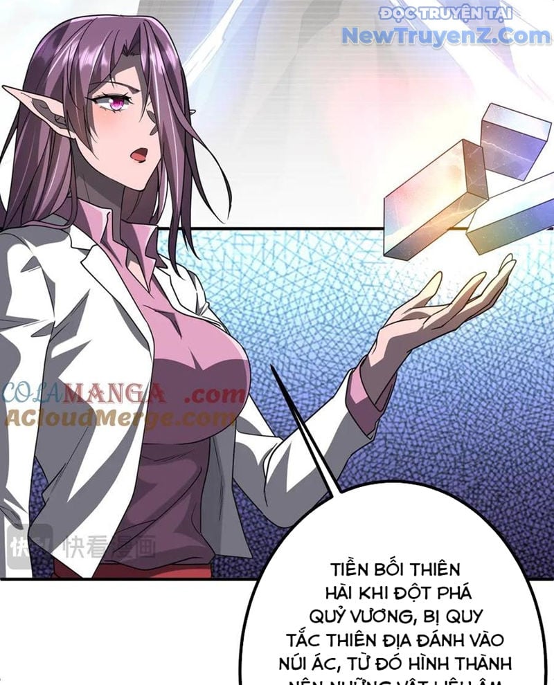 Chapter 241