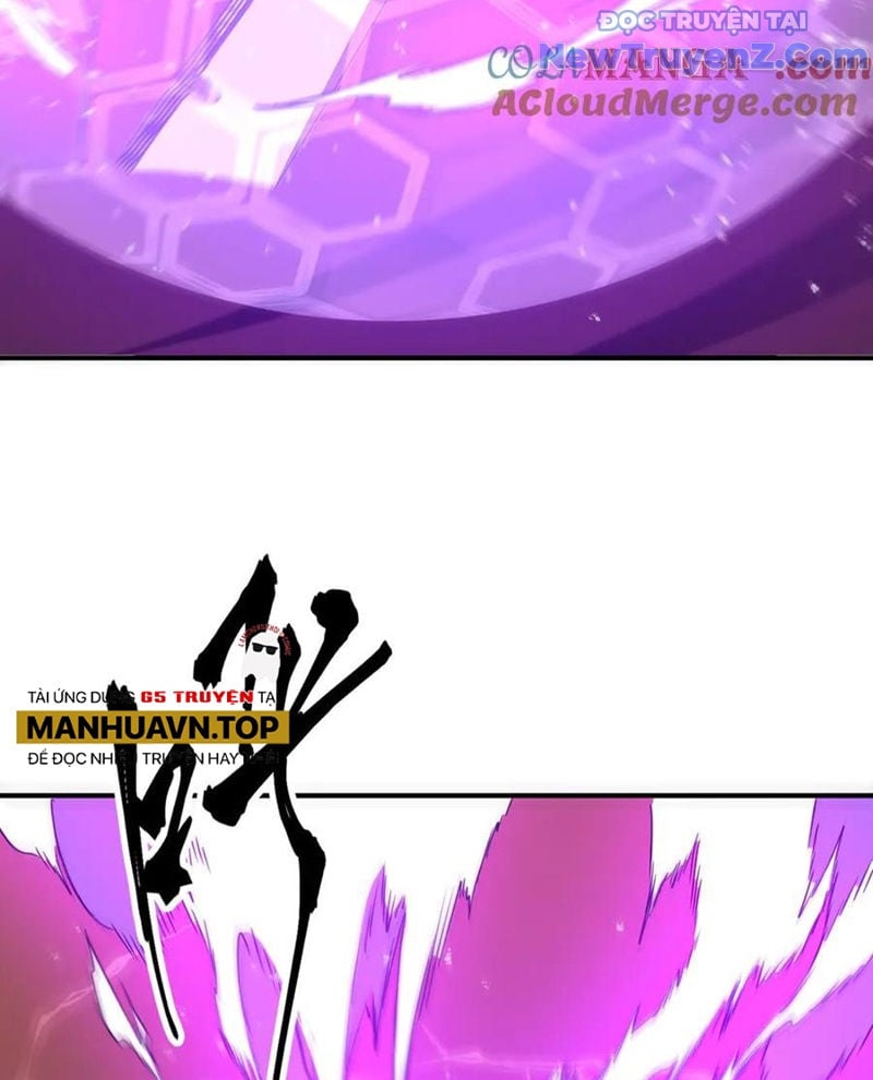 Chapter 241