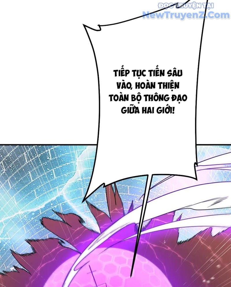 Chapter 241