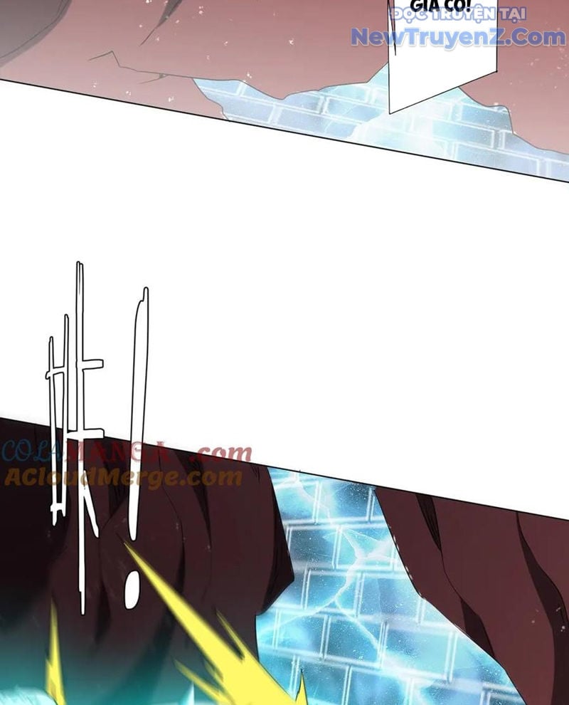 Chapter 242