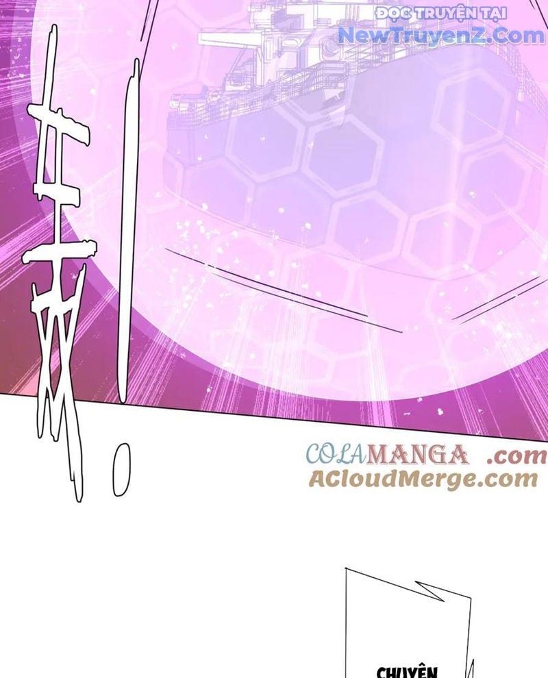 Chapter 242