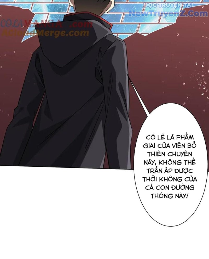 Chapter 242