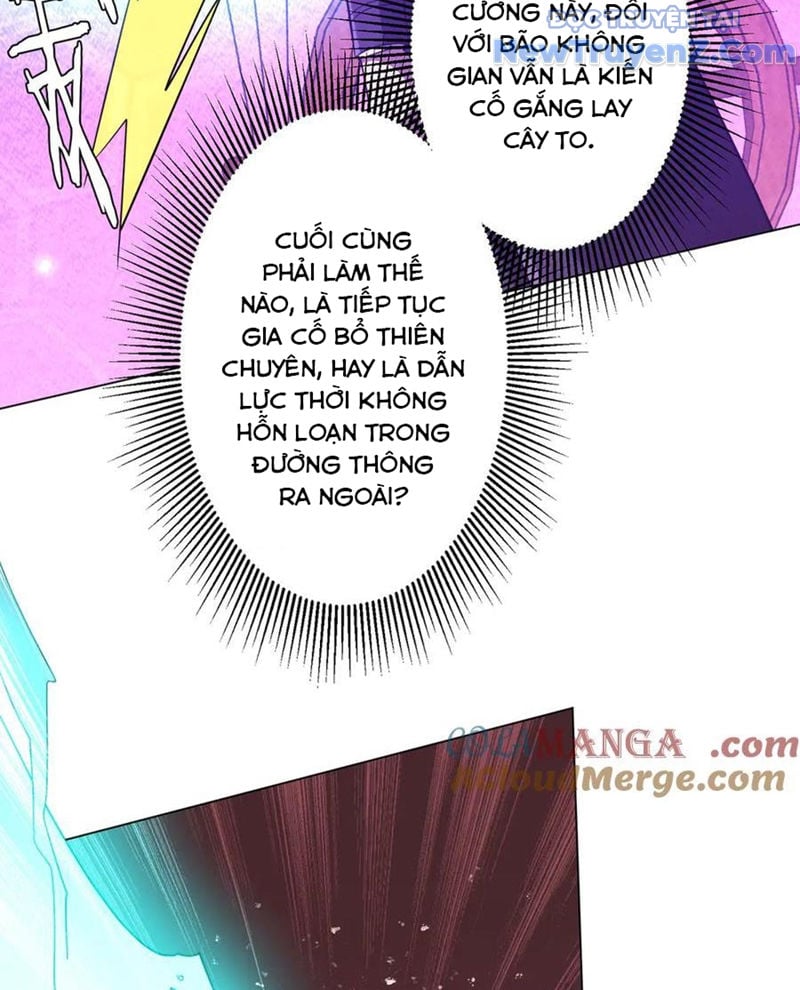 Chapter 242