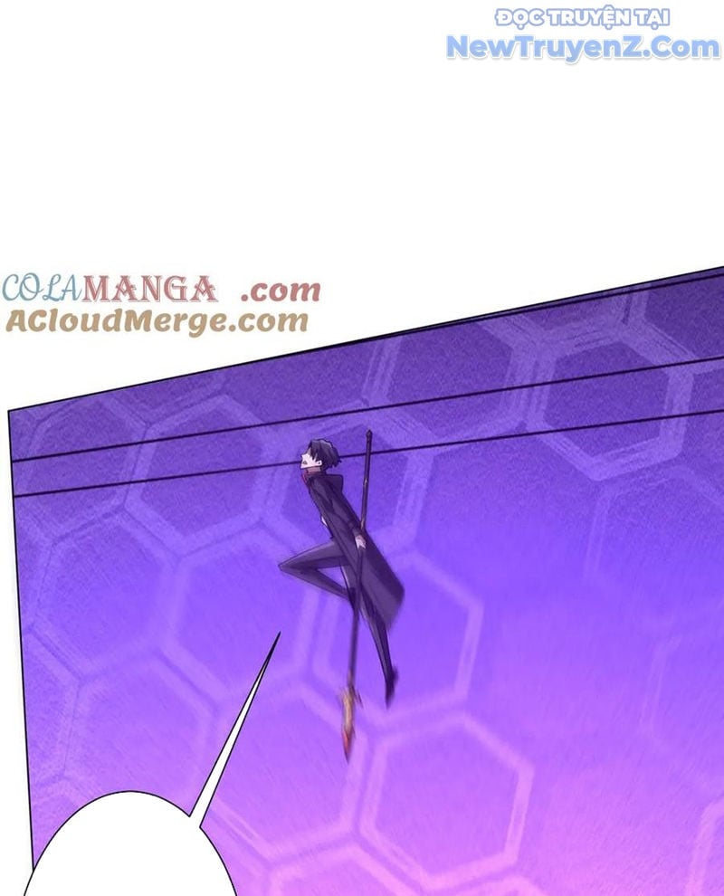 Chapter 242