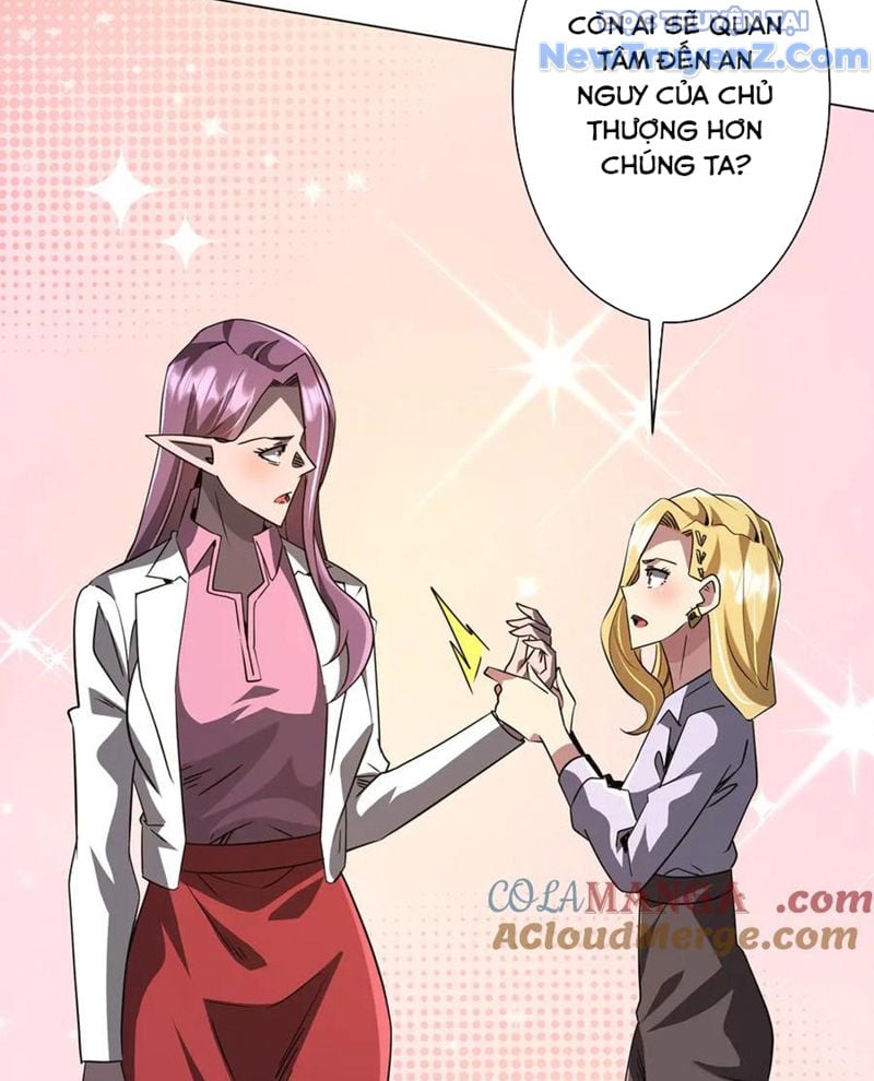 Chapter 242