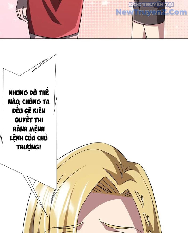 Chapter 242