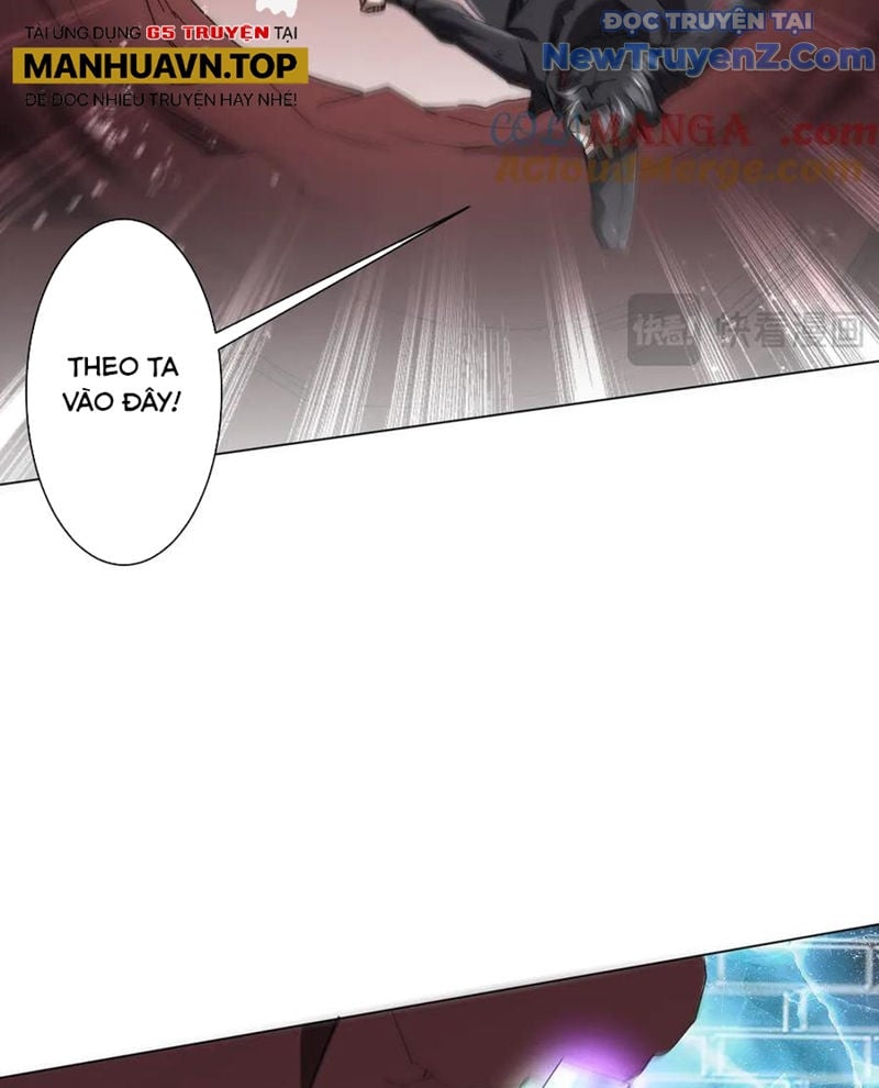 Chapter 242