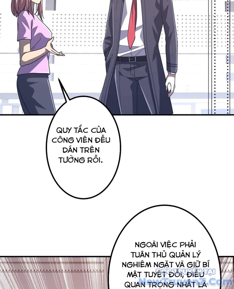 Chapter 243
