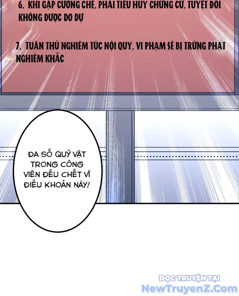Chapter 243