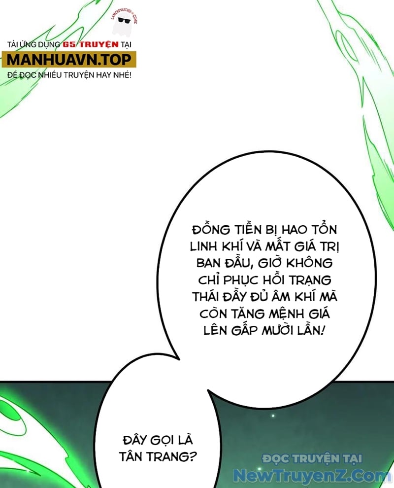 Chapter 243