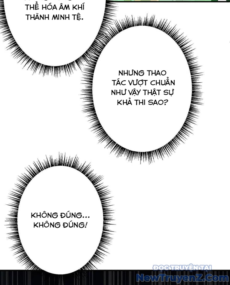 Chapter 243