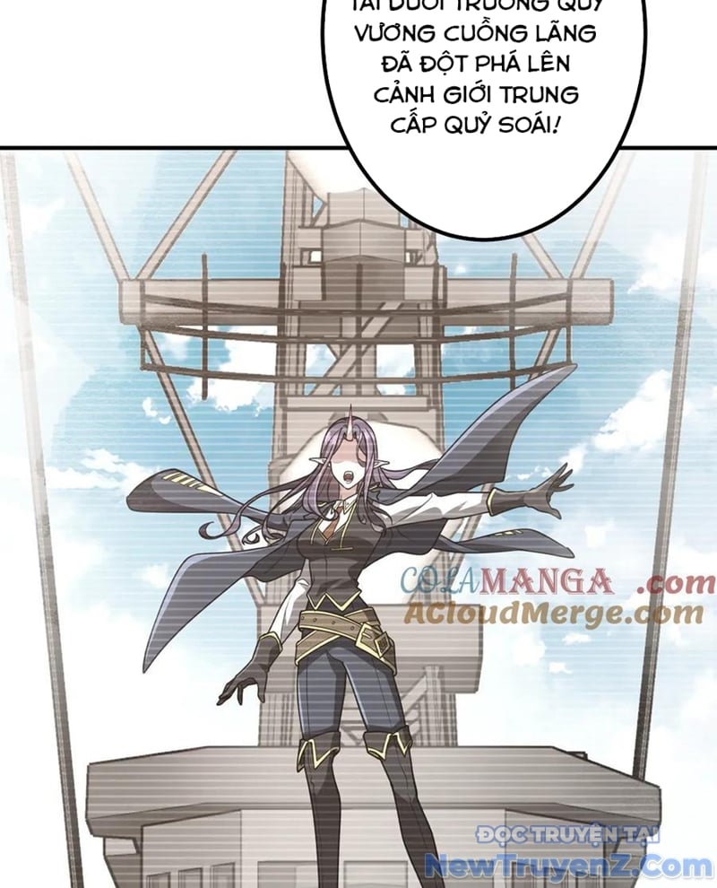 Chapter 243