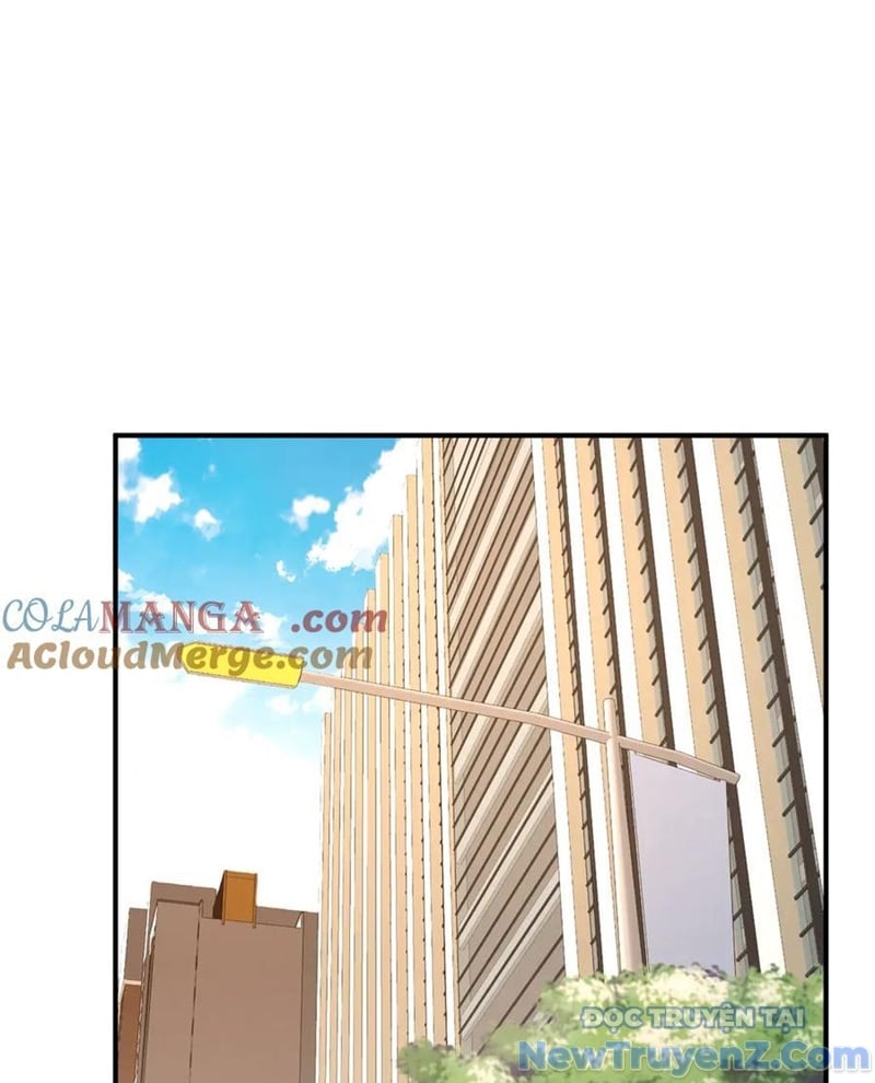 Chapter 243