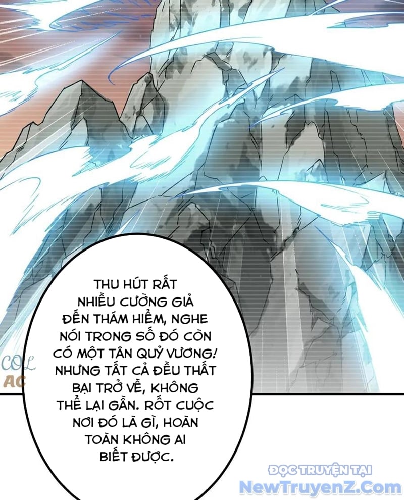 Chapter 243