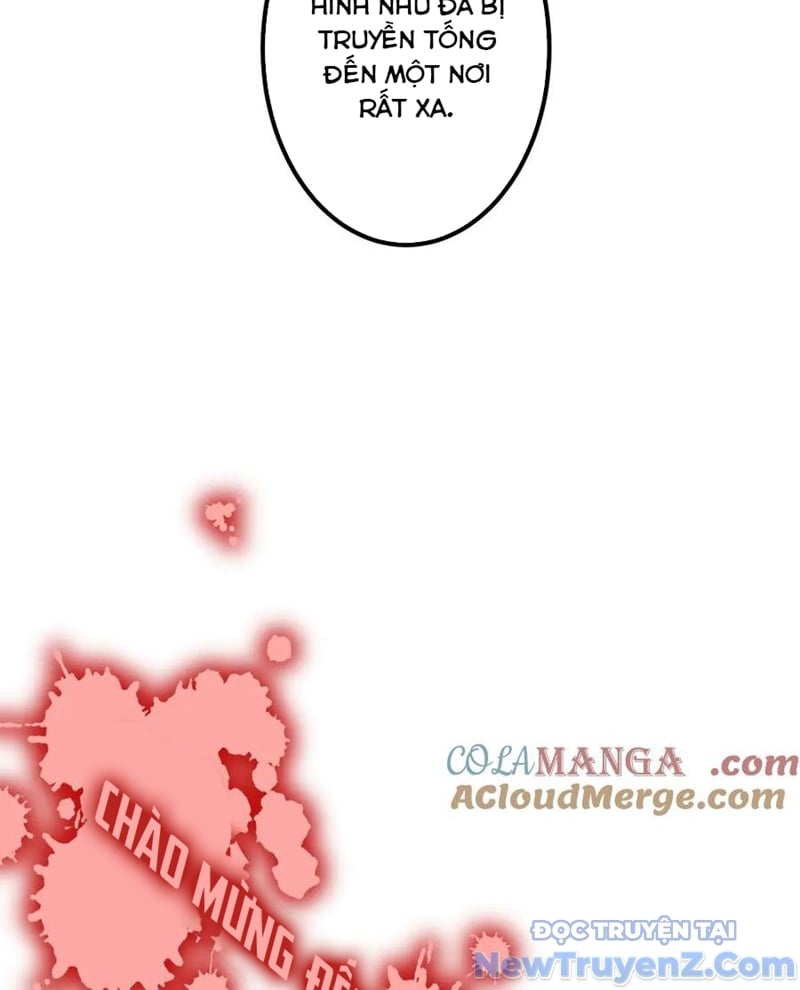 Chapter 243